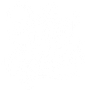Play Curious logo