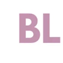 Blizzard Clean logo