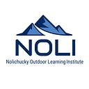 NOLI Learn logo