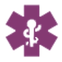 National Nurses in Business Association logo