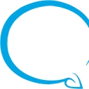 Quality Supplement MFG logo