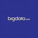 Bigdata logo