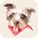 Tally's Ranch logo