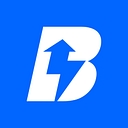 Bizzi logo