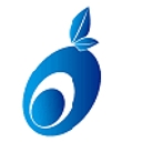 OSOYOO logo