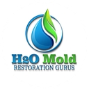 H2O Mold Restoration Gurus logo