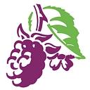 Blackberry Clinic logo
