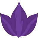 HCMS US logo