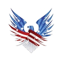 American Conceal and Carry LLC logo
