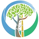 Seaview Orthopaedics logo
