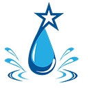 Blue Star Restoration logo