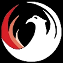 Dig-IT Solutions logo