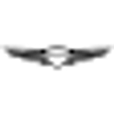 Braman Genesis logo