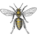 Keeping Backyard Bees logo