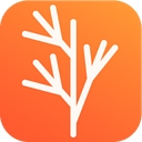 Dill logo