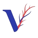 Vascular Care Specialists of Los Angeles (VCSLA) logo