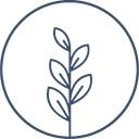 Mitchell Holistic Health logo