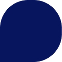 LearnWise logo
