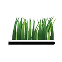 Healthy Expressions Dental logo
