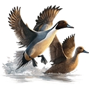Wildlife Management Institute (WMI) logo