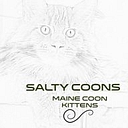 Salty Coons logo