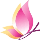 The Divorce Project logo