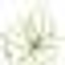 Infuso (Infuso Natura) logo