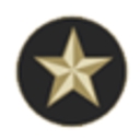 Texas Truck Accident Lawyer logo