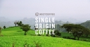 Nozy Coffee logo