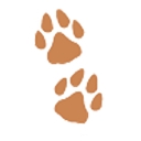 Suite Paws logo