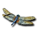 The Dragonfly Art Studio logo