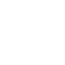 DataNimbus logo