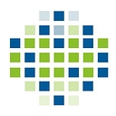 Connection Model logo