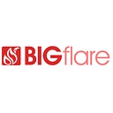 Big Flare logo