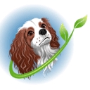 raisingyourpetsnaturally.com logo