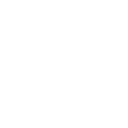 Sumer Innovations logo