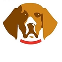 SalesTaxSolutions logo