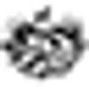 Meindl logo