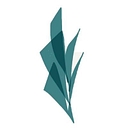 My OCD Care logo