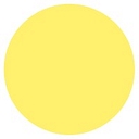 Fortes.Vision logo