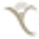 Pronature logo