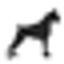 riverrunpetsitters.com favicon