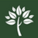 Bloom Rugs logo
