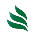 Ideal Nutrition Now logo