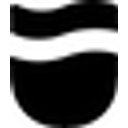 Brooklyn Plunge logo