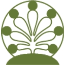 Magic Cactus logo
