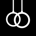 DIE RINGE logo