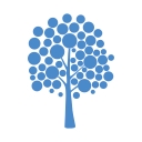 Davydov Consulting logo
