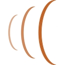 AudioVision San Francisco logo