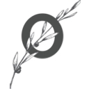 Barbara O Photography logo